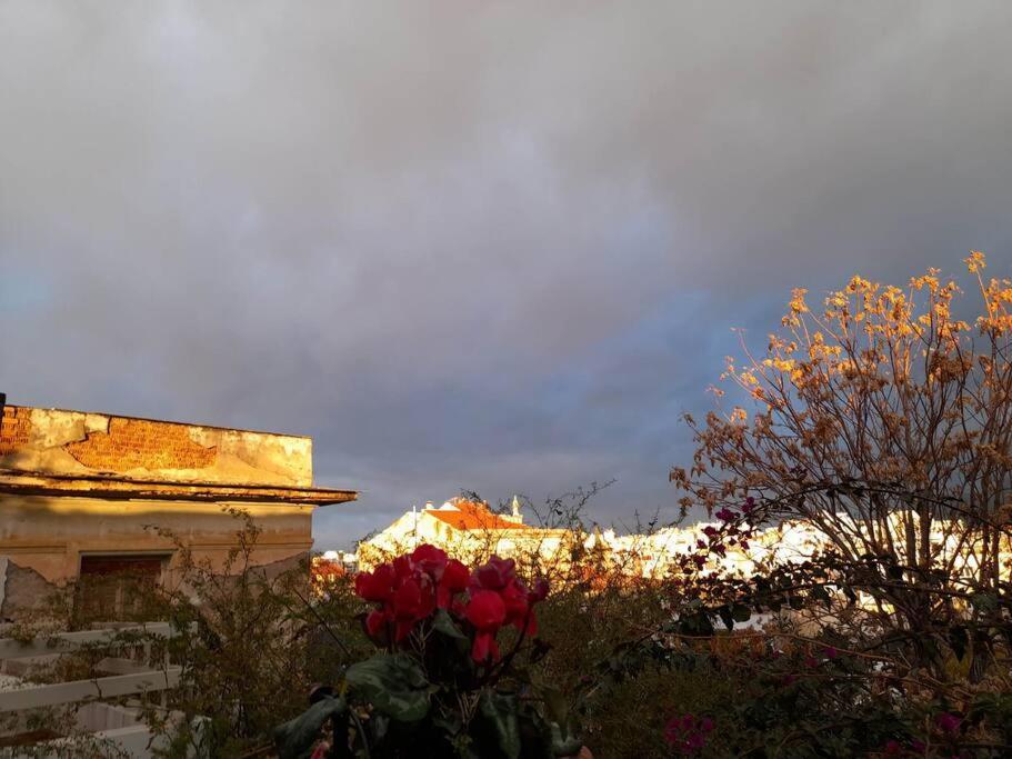 アテネ At The Foot Of Acropolis.ヴィラ エクステリア 写真